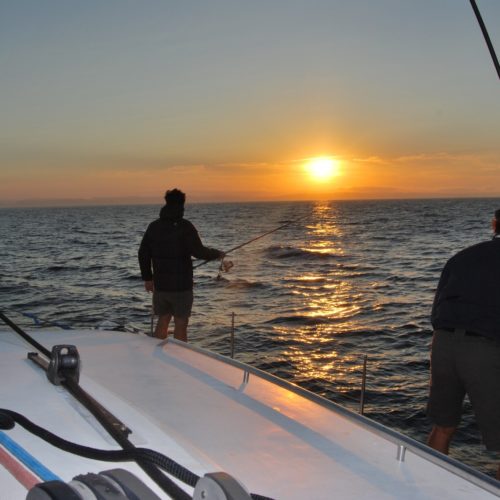 paseos en barco Gijón - Asturias
