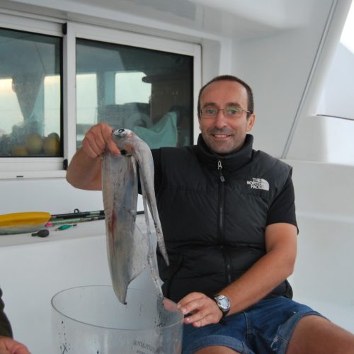 paseos en barco Gijón - Asturias